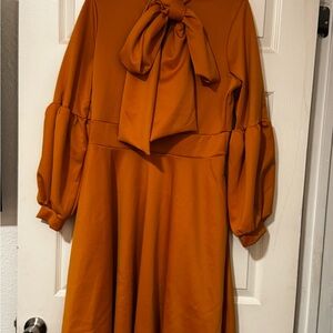 Elegant Long Sleeve Dress in Orange